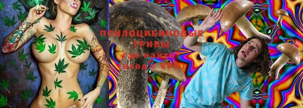 МДПВ Алексин