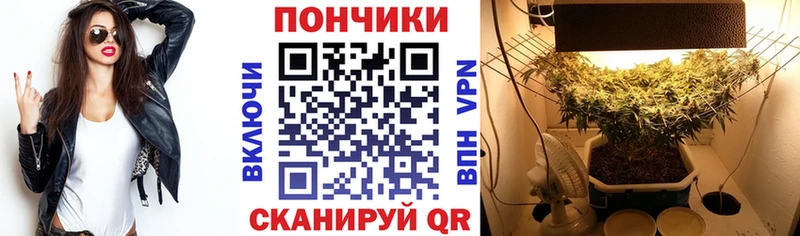 наркотики MEGA маркетплейс Конопля планчик Райчихинск